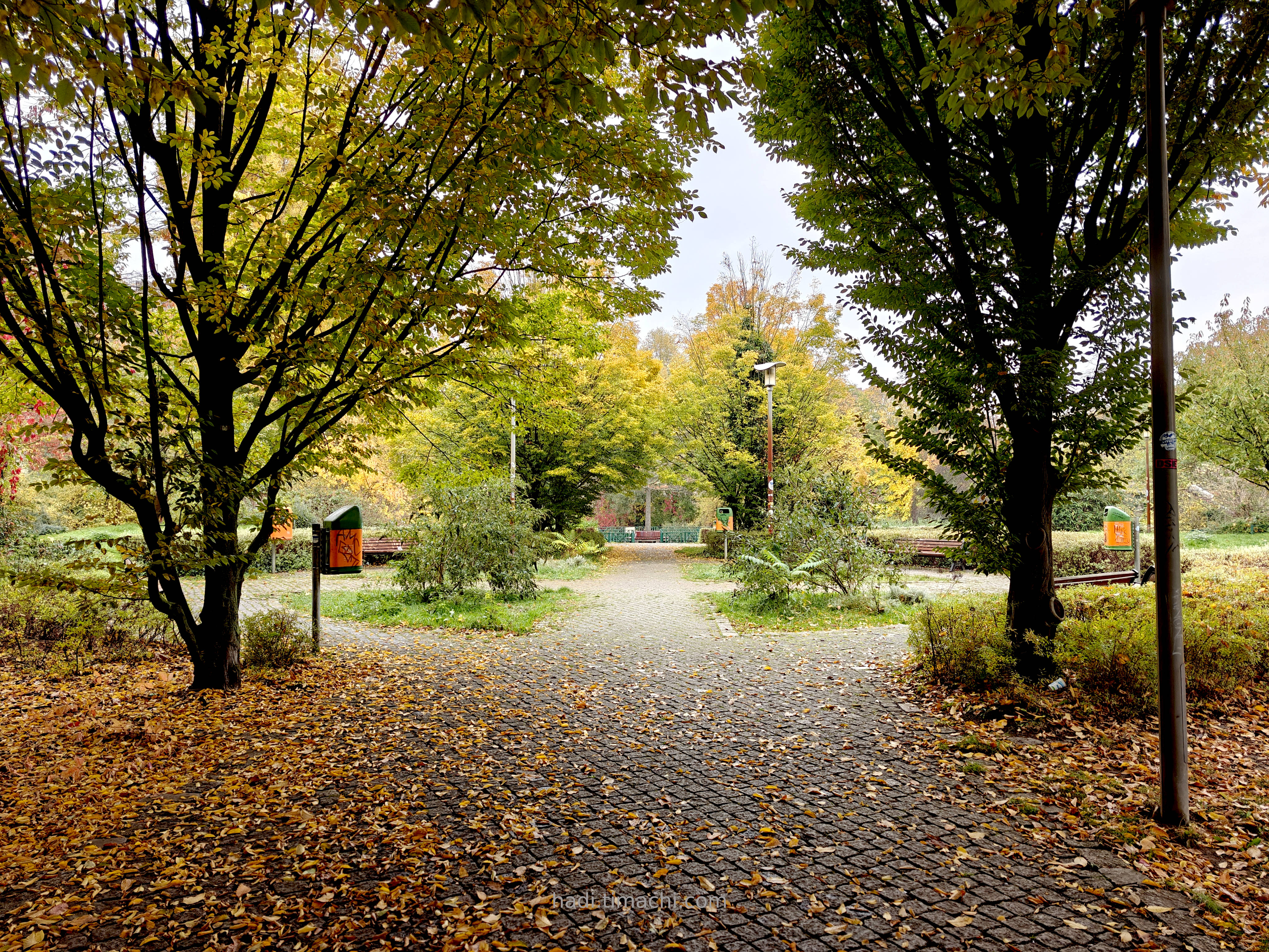 20241028T085933--Nelly-Sachs-Park__autumn_colorful
