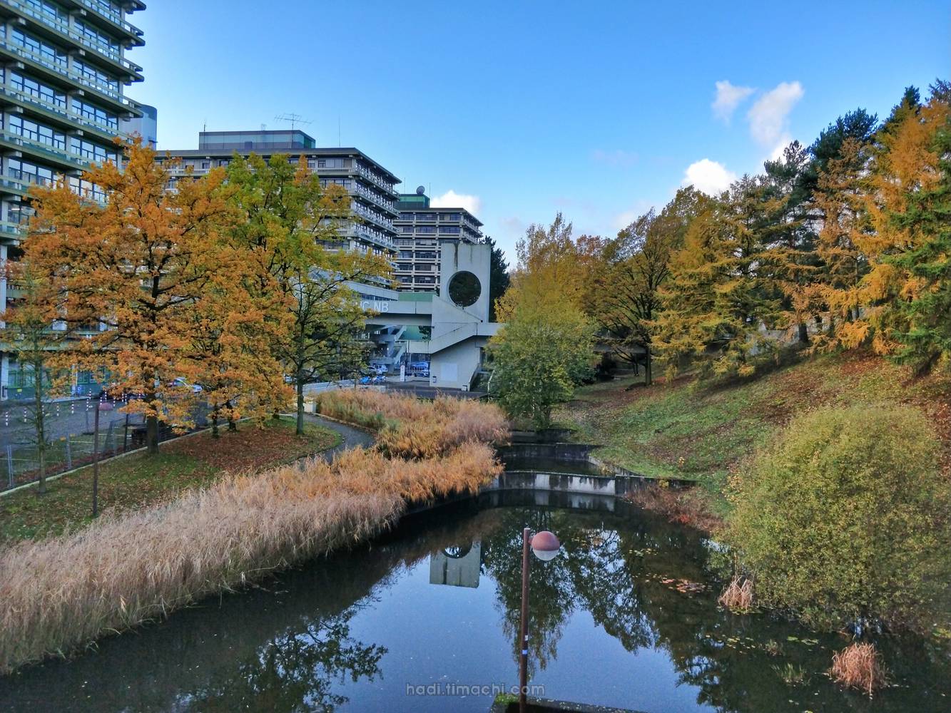 20171113T090932--autumn-begins__autumn_colorful_RUB
