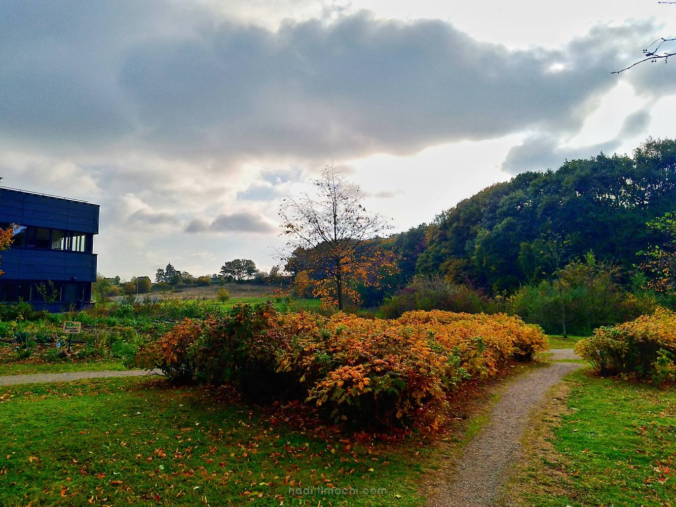 20181102T094528--good-morning-sunshine__colorful_sky_autumn