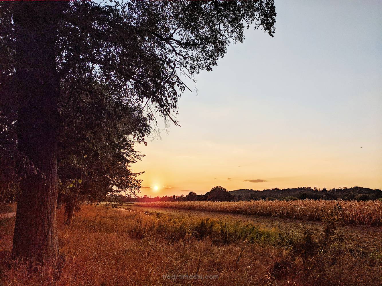 20190831T193537--a-sunset-in-corn-fields__sunset_sky_colorful