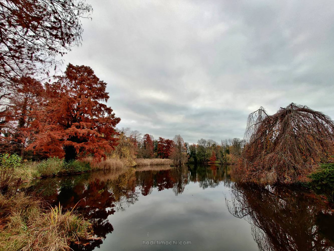 20201118T091619--Potsdam-in-autumn-_-Park-Sanssouci-Maschinenteich__autumn_river_sky_colorful