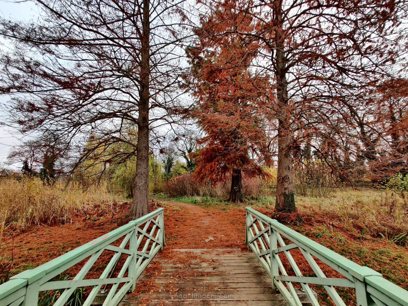 20201118T091632--Potsdam-in-autumn-_-Park-Sanssouci-Maschinenteich-bridge__autumn_colorful